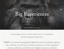 Tablet Screenshot of borngroup.com